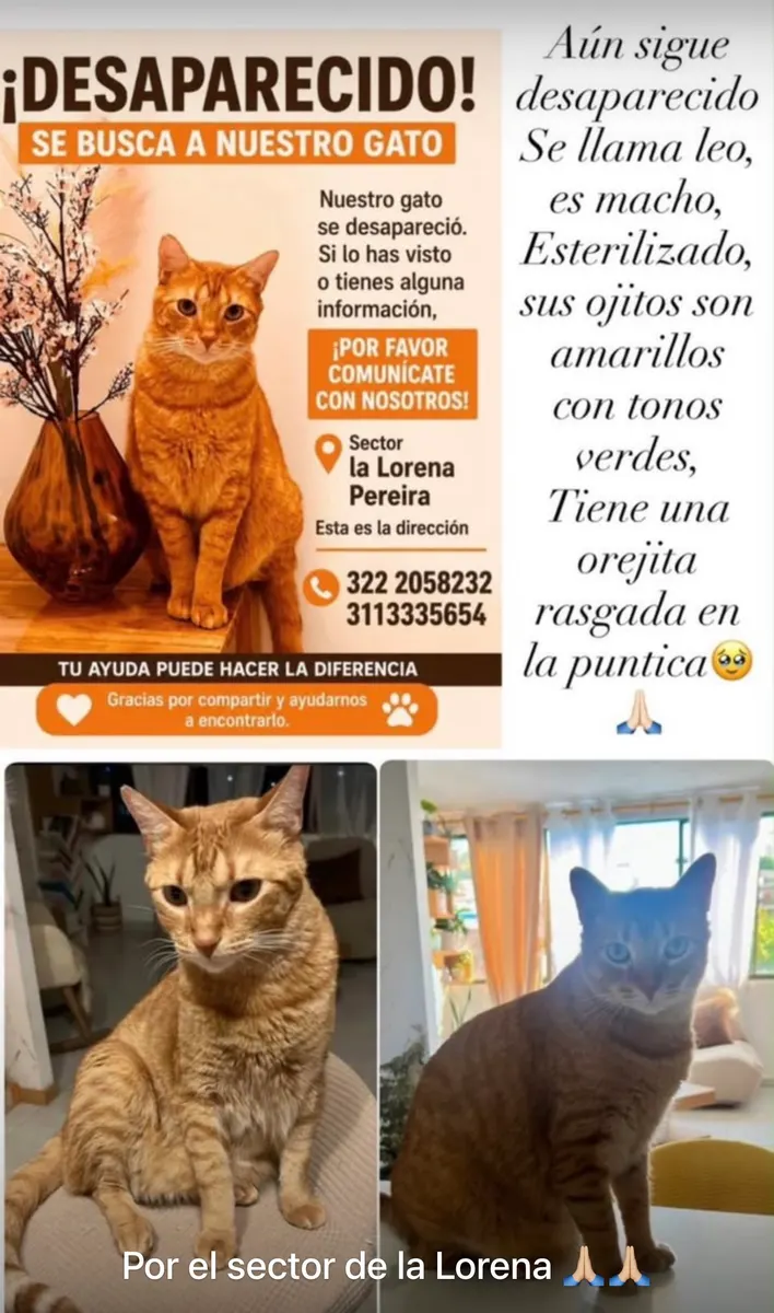 Foto 3 de los daños reportados por Cristina Ospina