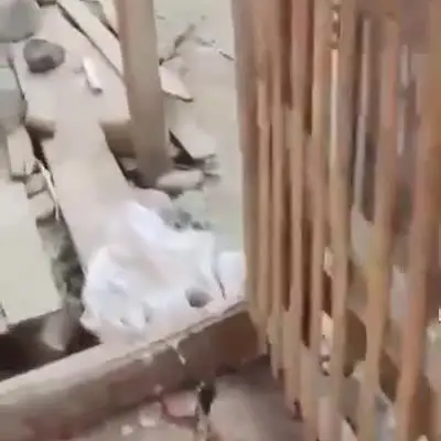 Daños reportados por Ayuda con amor a quien de verdad lo necesita