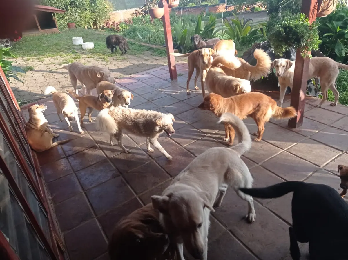Foto 3 de los daños reportados por FUNDACIÓN AMAR