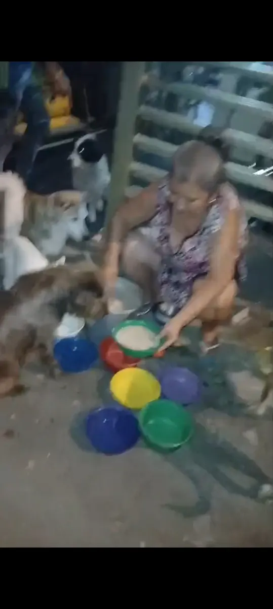 Foto 1 de los daños reportados por Patitas Felices